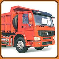 Coir Fiber
