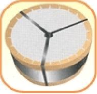 Coir Fiber