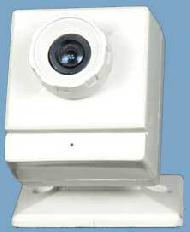 Coir Fiber