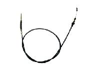 Coir Fiber