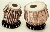 Coir Fiber