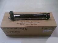 Coir Fiber