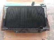 Coir Fiber