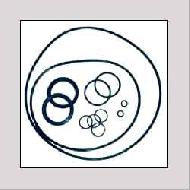 Coir Fiber