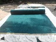 Coir Fiber