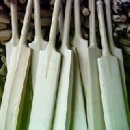 Coir Fiber
