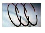Coir Fiber