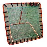 Coir Fiber