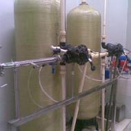 Coir Fiber