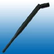Coir Fiber