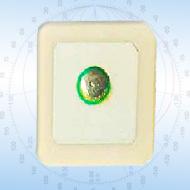 Coir Fiber