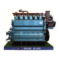 Coir Fiber