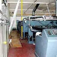 Coir Fiber
