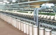 Coir Fiber