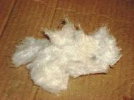 Coir Fiber
