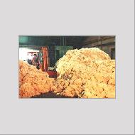 Coir Fiber