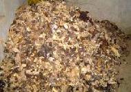 Coir Fiber