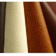Coir Fiber