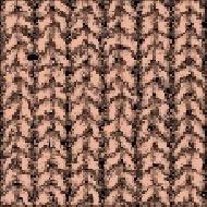 Coir Fiber