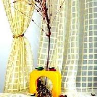 Coir Fiber