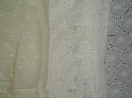 Coir Fiber