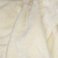 Coir Fiber