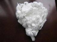 Coir Fiber