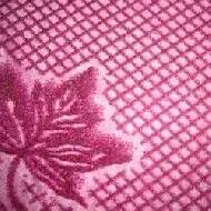 Coir Fiber
