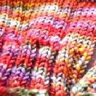 Coir Fiber