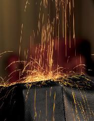 Coir Fiber