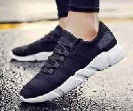 Coir Fiber
