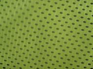 Coir Fiber