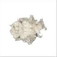 Coir Fiber