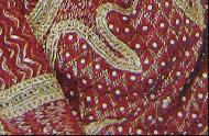 Coir Fiber