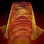 Coir Fiber
