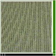 Coir Fiber