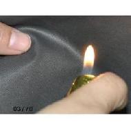 Coir Fiber