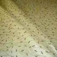 Coir Fiber