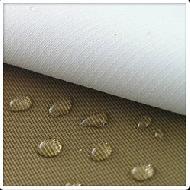 Coir Fiber