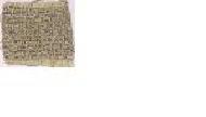Coir Fiber