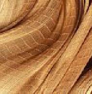 Coir Fiber