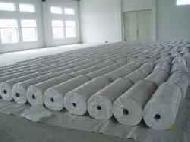 Coir Fiber