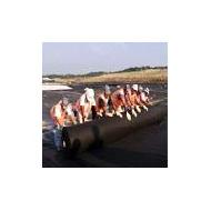 Coir Fiber