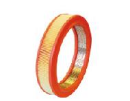Coir Fiber