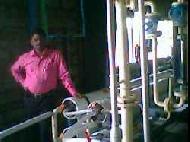 Coir Fiber