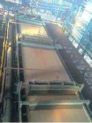 Coir Fiber