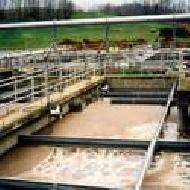 Coir Fiber