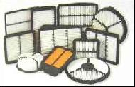 Coir Fiber