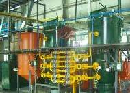Coir Fiber