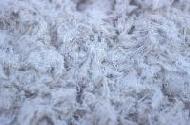 Coir Fiber